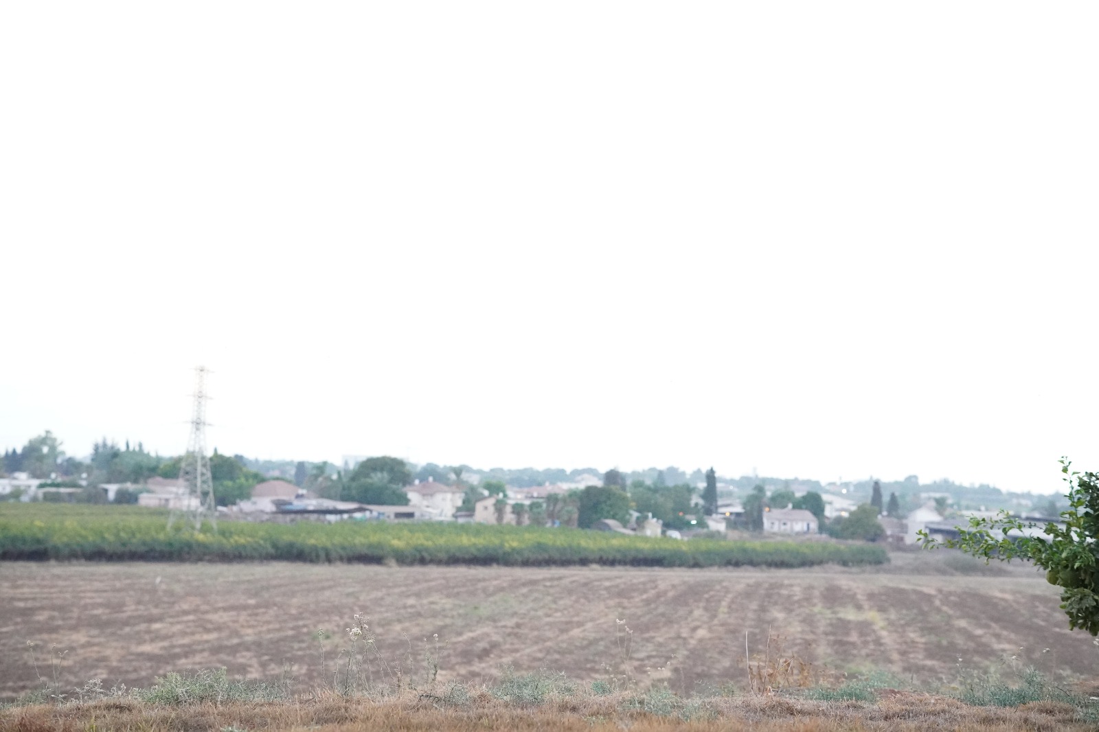 שדות התכלת 10