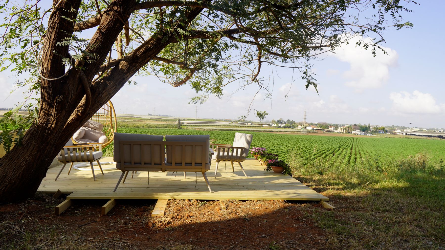 שדות התכלת 20